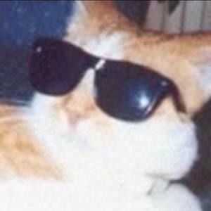 Meet your Posher, Leonardo